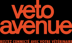 Notre boutique