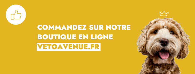 Notre boutique