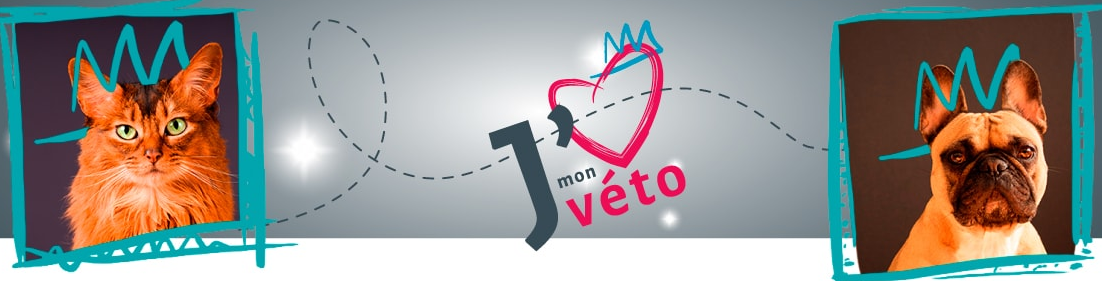 Notre boutique