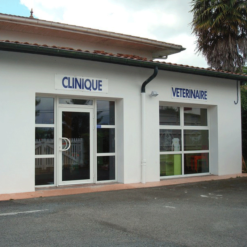 Bienvenue sur le site de la Clinique Vétérinaire ARTATEGIA