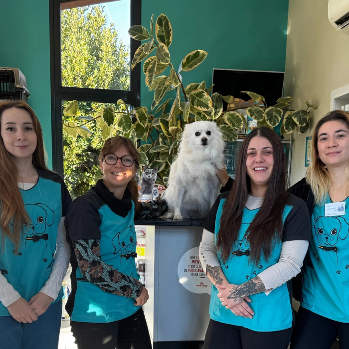 Bienvenue sur le site de la clinique vétérinaire des Jasmins !