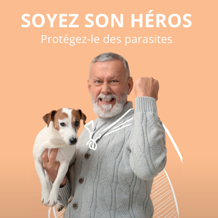 parasitisme chien