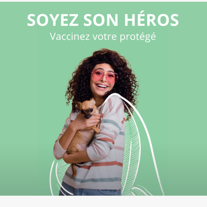 campagne de vaccination chat