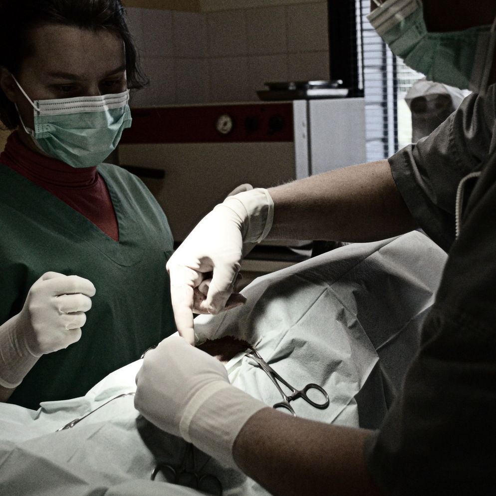Bienvenue sur le site de la clinique vétérinaire des Drs Beaud et Galliou