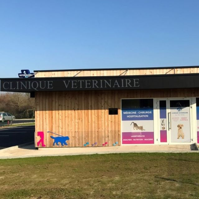 Bienvenue à la clinique 1001 Pattes !