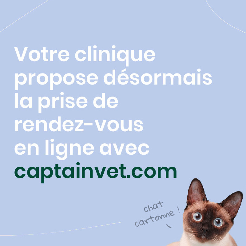 Nouveau service : prise de RDV en ligne