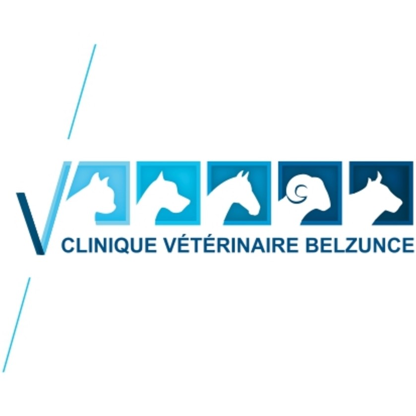 Bienvenue sur le site de la Clinique BELZUNCE !