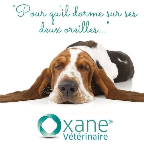 PLAN DE PREVENTION - Le meilleur pour sa santé à un prix réduit