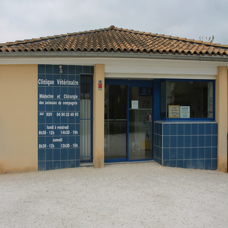 Bienvenue sur le nouveau site de la clinique vétérinaire de Montfavet !