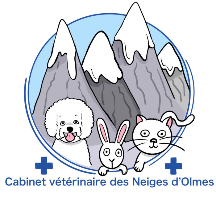 BIENVENU SUR LE SITE DU CABINET VETERINAIRE DES NEIGES D'OLMES Á LAROQUE D'OLMES
