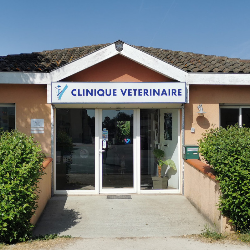 Bienvenue sur le site de la Clinique vétérinaire Val de Save à Samatan !