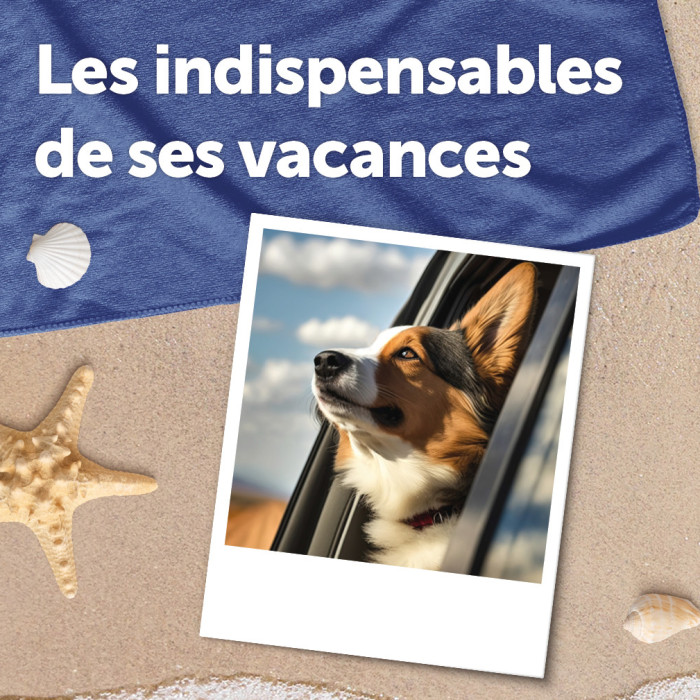 Bien préparer ses vacances