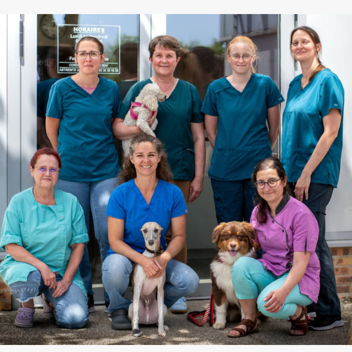 Bienvenue sur le site de la Clinique vétérinaire du Giennois