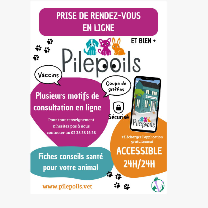 📣Notre site de rendez-vous en ligne Pilepoils  📣