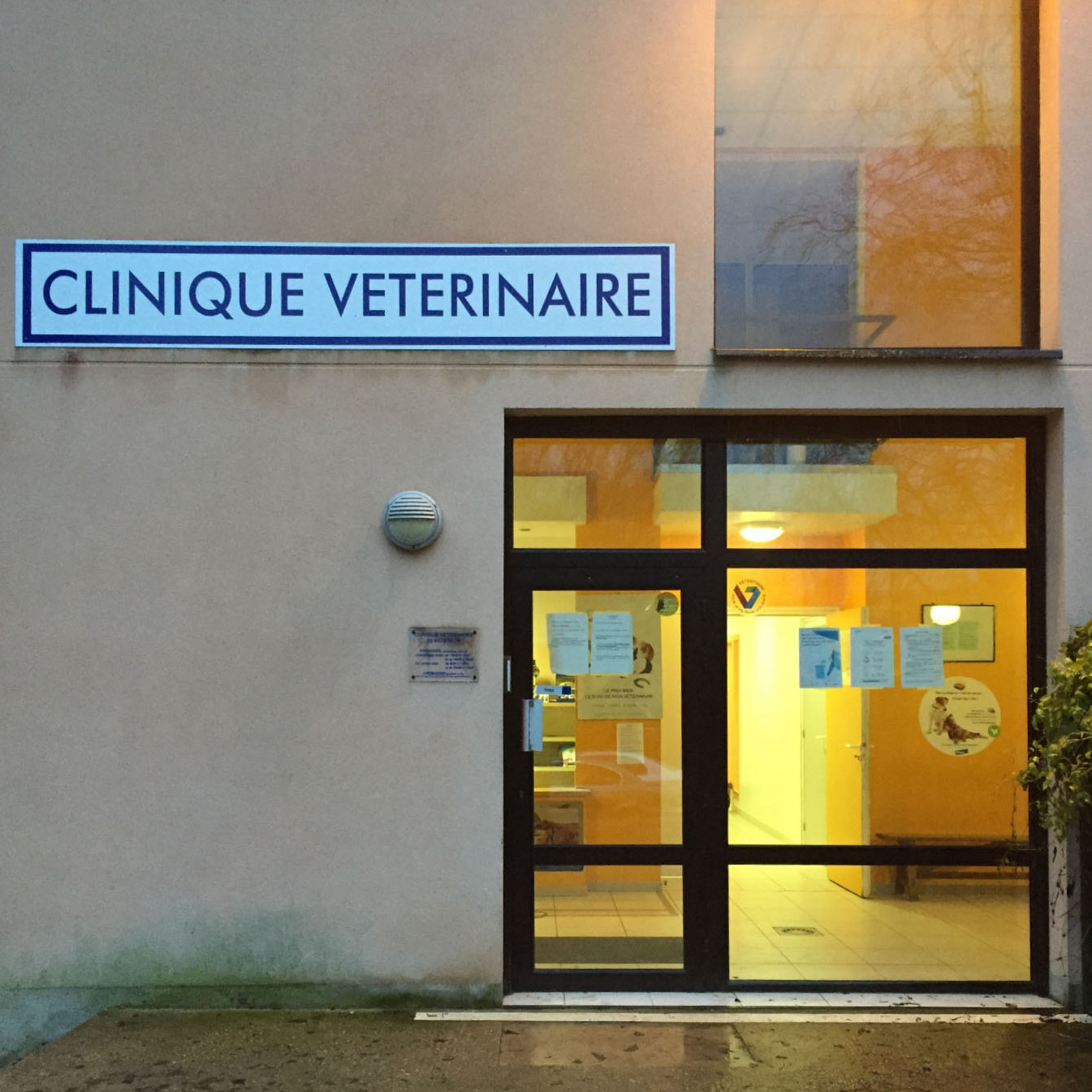 Bienvenue sur le site de la Clinique vétérinaire de St Just en Chaussée