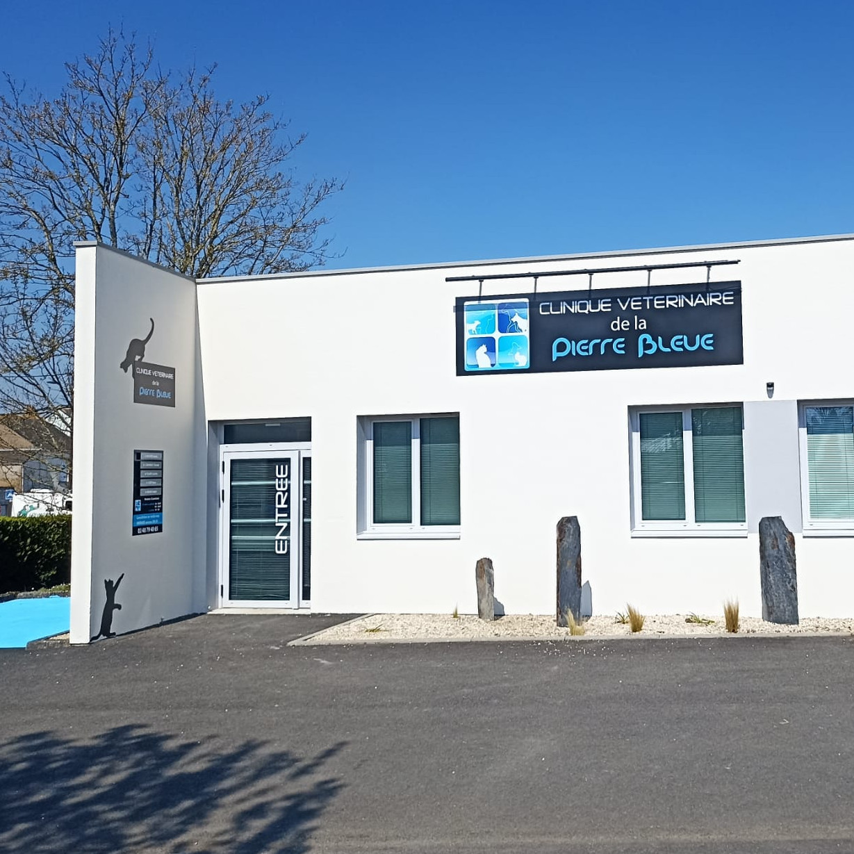 Bienvenue sur le nouveau site de la clinique vétérinaire de la Pierre Bleue !