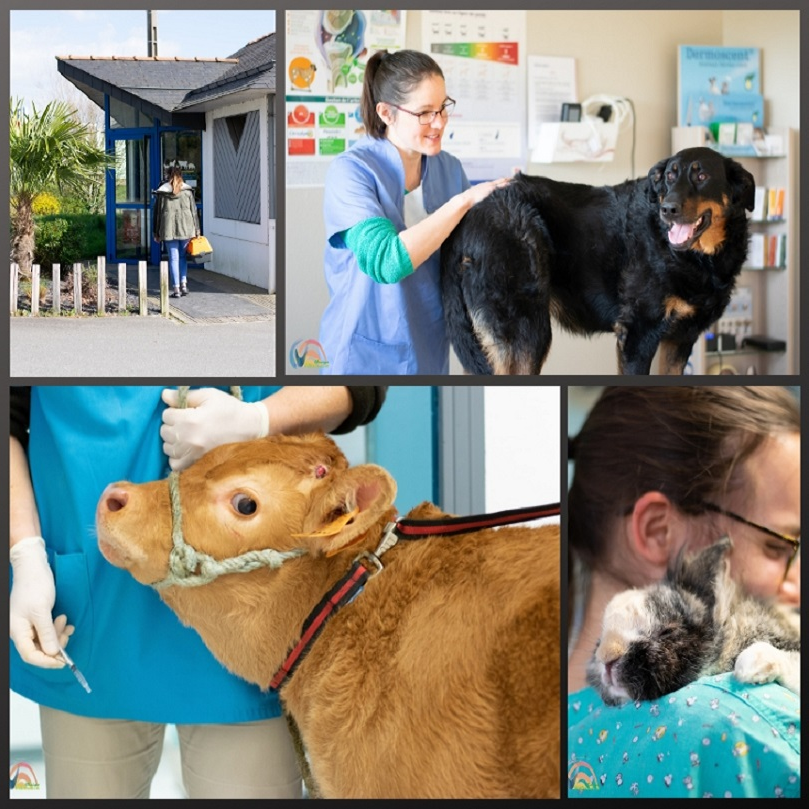 Bienvenue sur le site de la Clinique Vétérinaire de la Varenne !