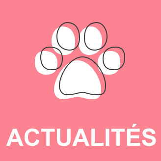 Vacances d'été