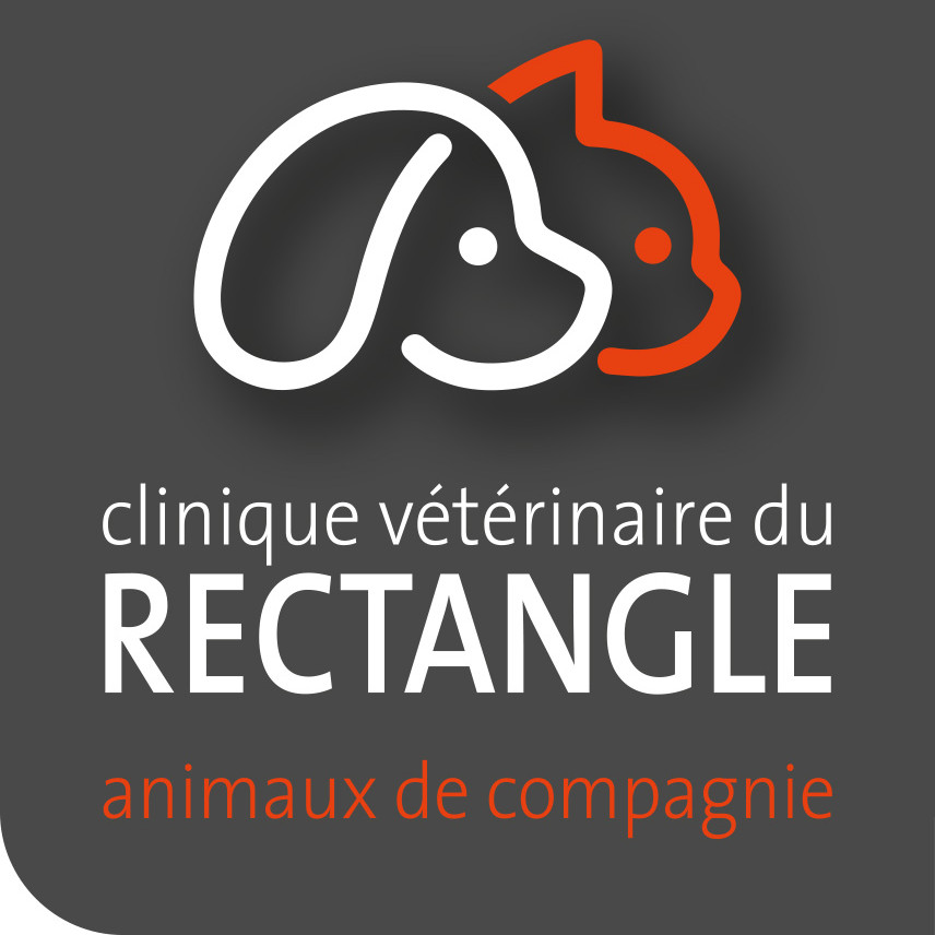 Bienvenue sur le site de la Clinique vétérinaire du Rectangle située à Gourin !