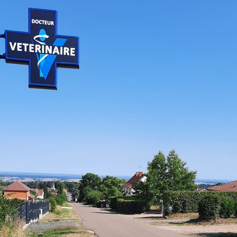 Nous vous accueillons sur notre 2ème site - Cabinet vétérinaire de l'Allée à St Christophe en brionnais