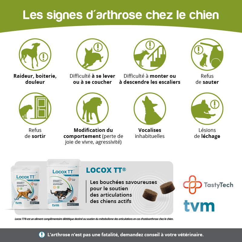 L'arthrose chez l'animal sénior