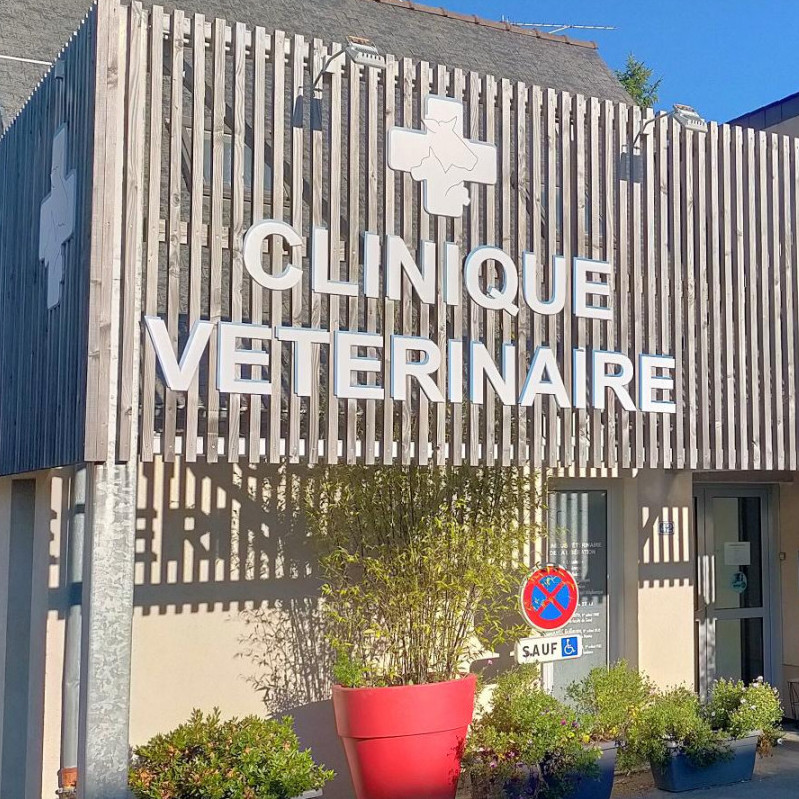 Bienvenue sur le site de la Clinique Vétérinaire de la Libération