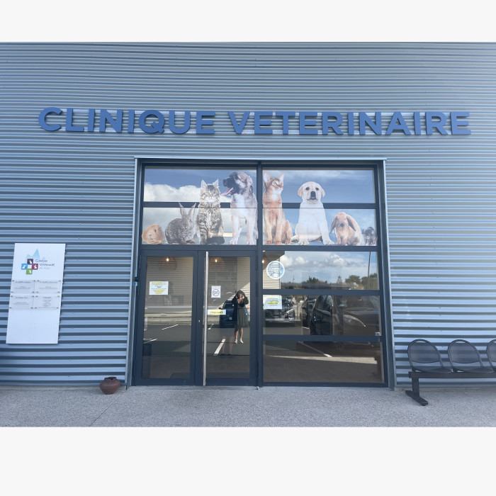 Bienvenue sur le site de la Clinique vétérinaire des Alpes à Portes les Valence (26) !