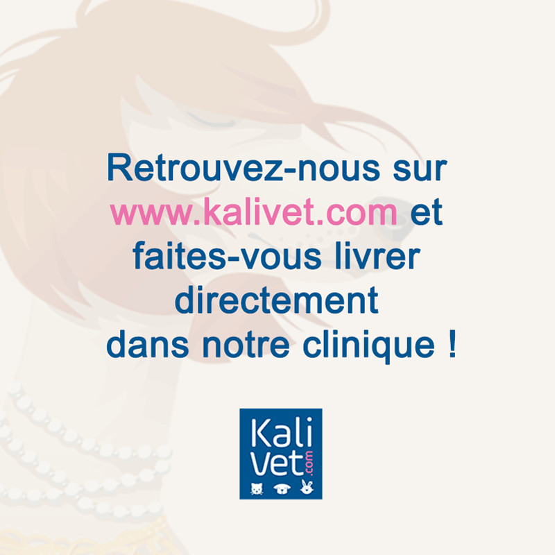 Aliments, accessoires, etc...