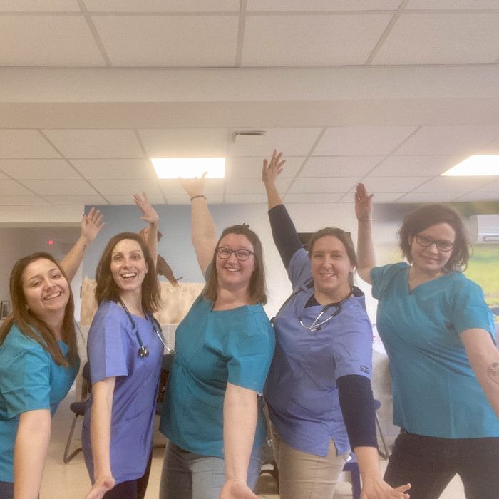 Bienvenue sur le site du Cabinet vétérinaire Vétopuiseaux à Puiseaux !
