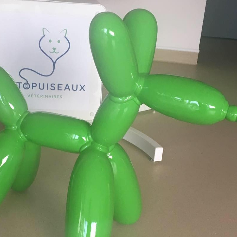 Les objectifs de l'équipe de Vétopuiseaux :