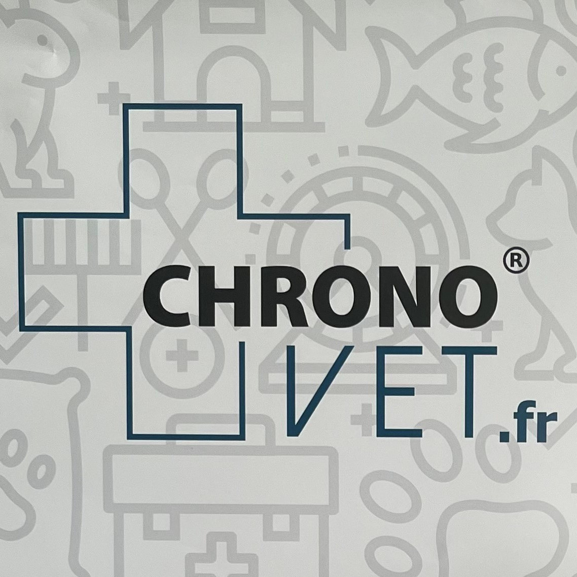 Vente de croquettes