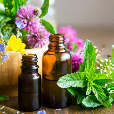 Docteur en phytothérapie vétérinaire