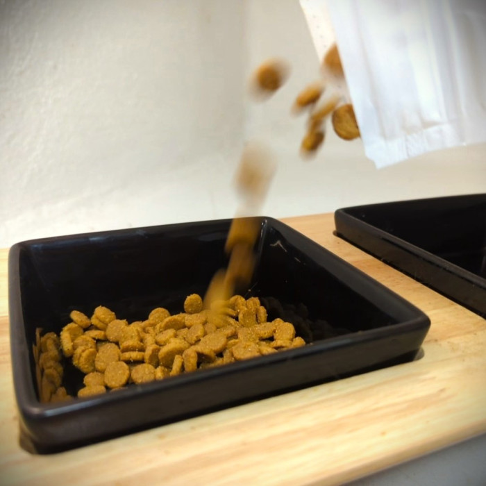 FORMULE ALIMENTATION