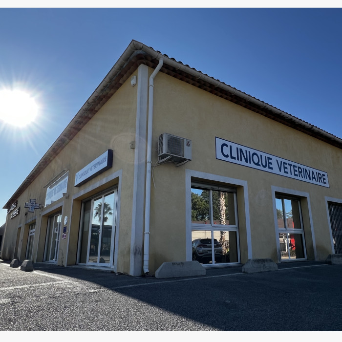 Bienvenue sur le site de la clinique vétérinaire de l'Argens