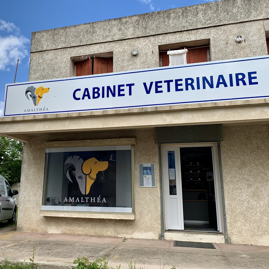 Bienvenue sur le nouveau site de la clinique vétérinaire Amalthéa !