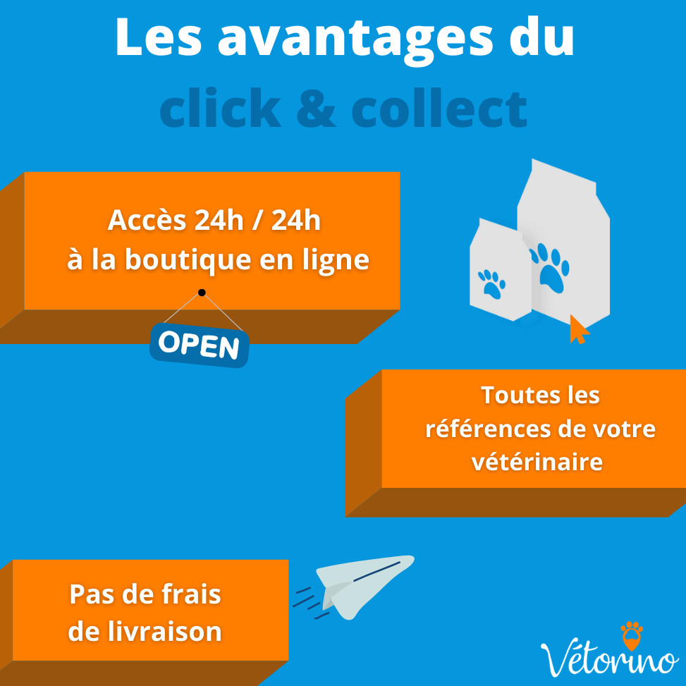 Boutique en ligne