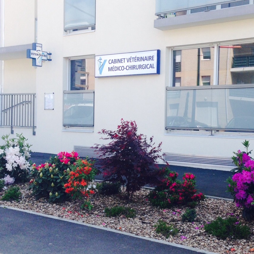 Bienvenue sur le site du cabinet Vétérinaire Médico-Chirurgical Majolane !