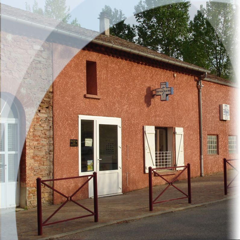 Le Bouche à oreilles vous conduira à la Clinique Vétérinaire des Mines 275 route des Mines, 07000 SAINT-PRIEST