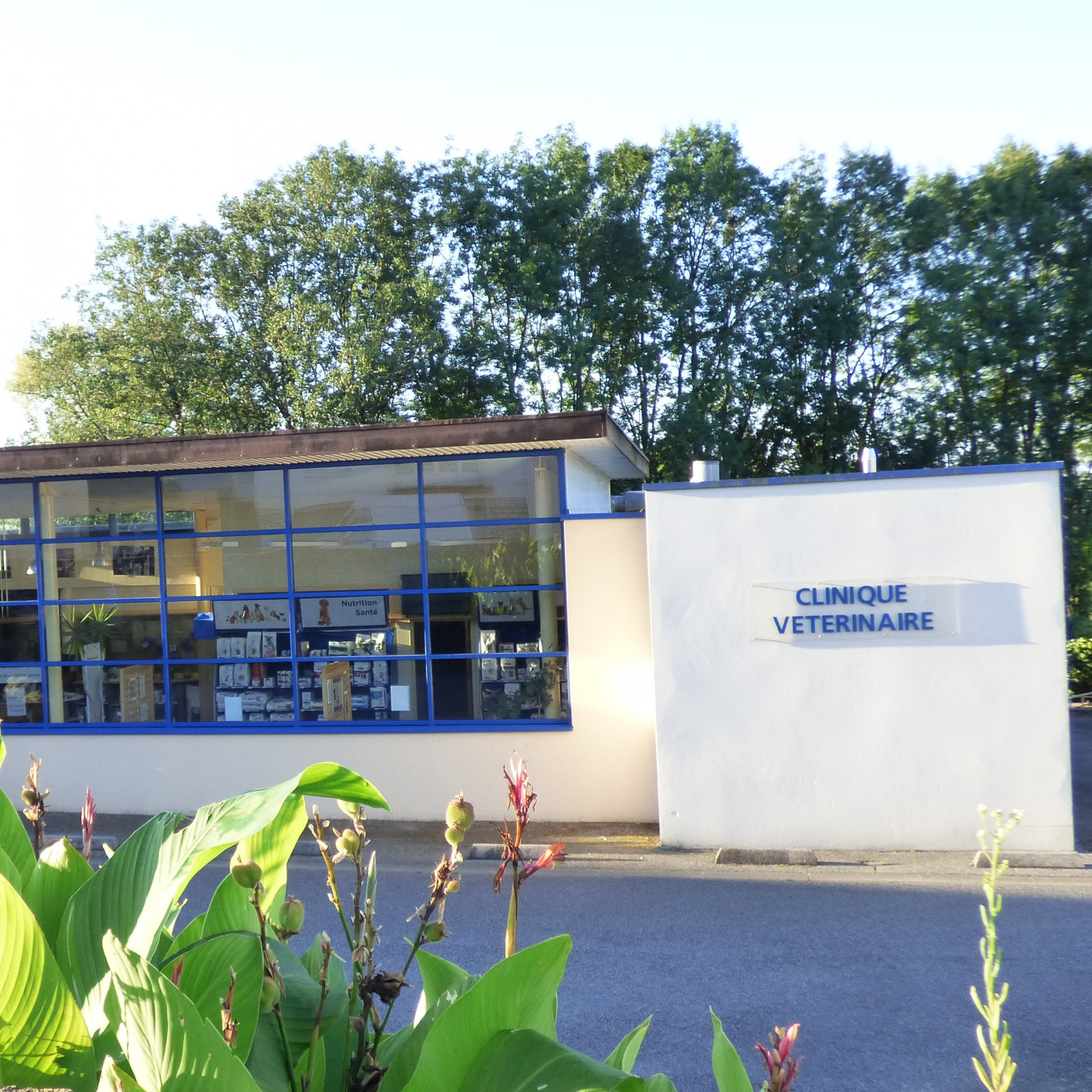 Bienvenue sur le site de la clinique VET ANIM'HALLES !