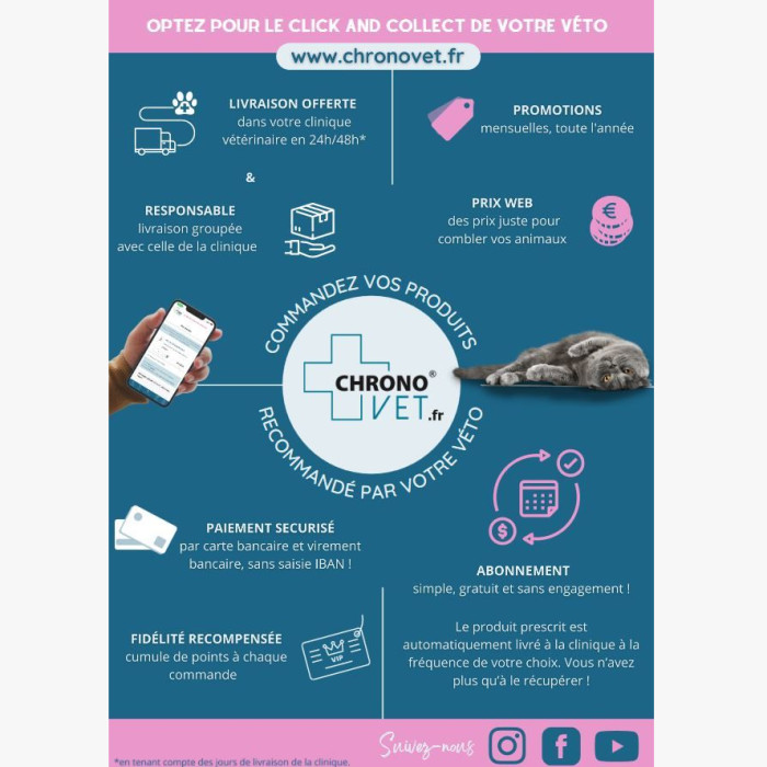 CHRONOVET arrive chez les Ecureuils