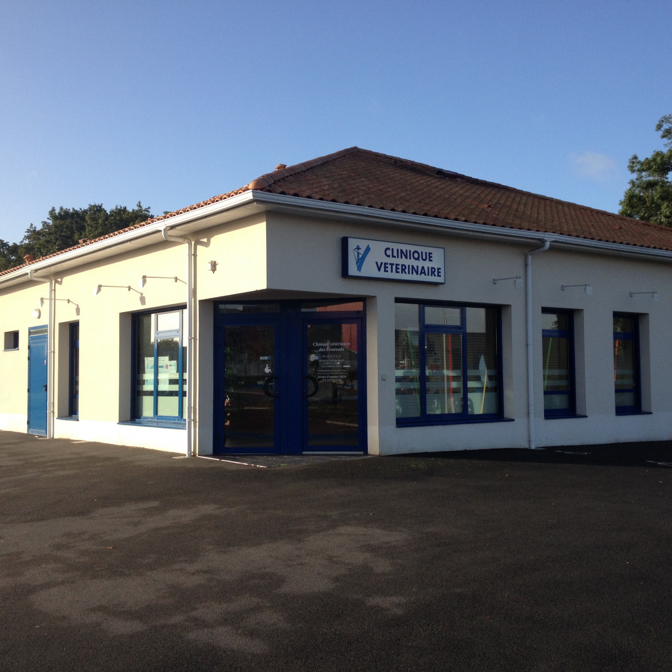 Bienvenue sur le site de la Clinique vétérinaire des Écureuils située à Saint-Brevin-les-Pins !