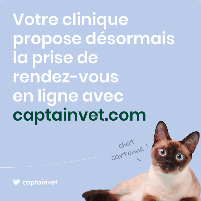 Désormais prenez vos rendez-vous en ligne!