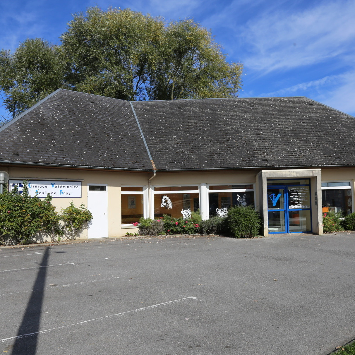 Bienvenue sur le site de la Clinique Vétérinaire du Seuil de Bray