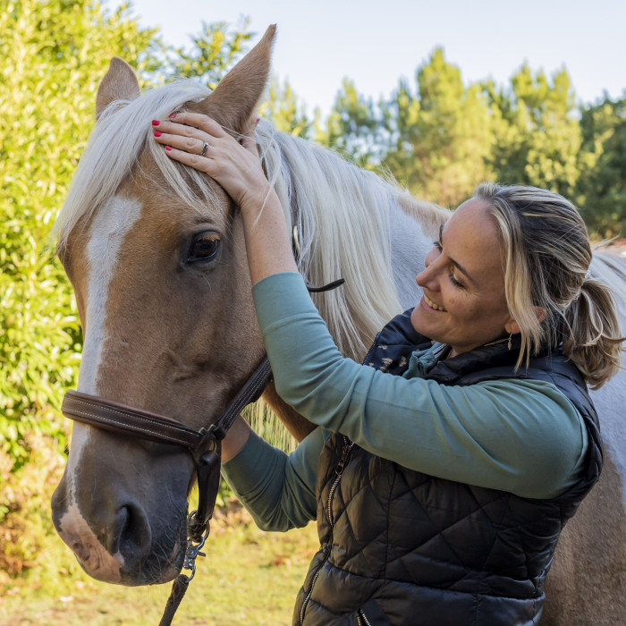 Consultation d'ostéopathie pour les chevaux