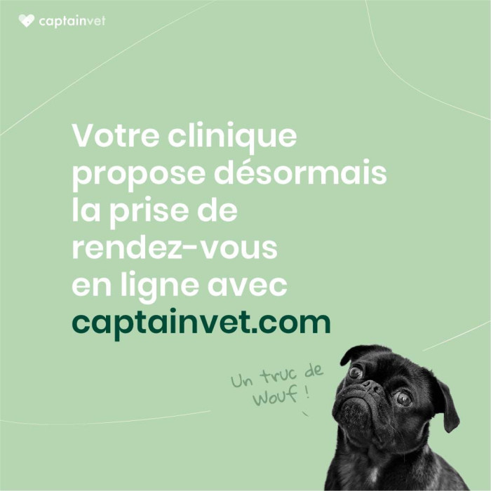 AVEC CAPTAINVET PRENEZ RENDEZ-VOUS EN UN CLIC !
