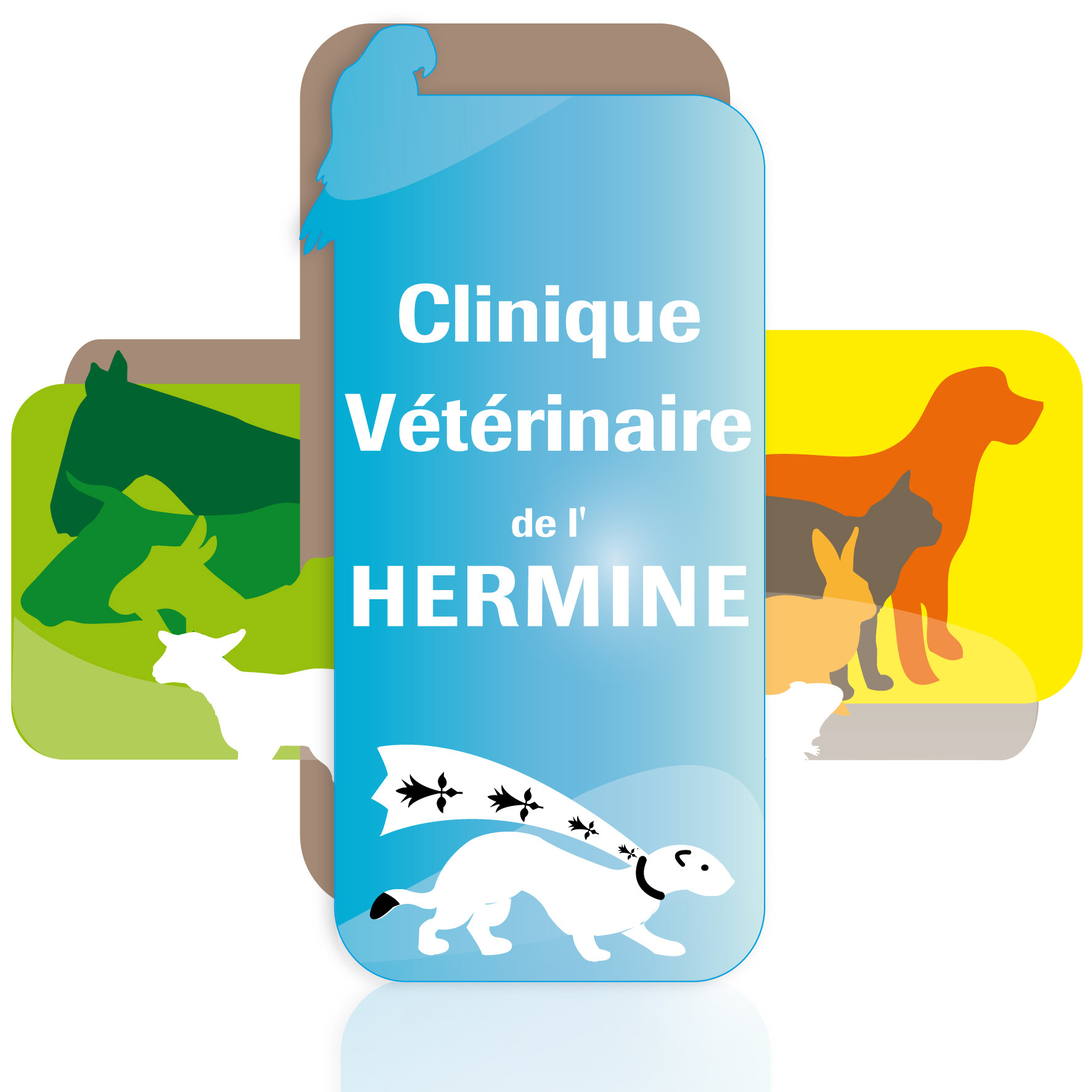 La Clinique Vétérinaire de l'Hermine recrute