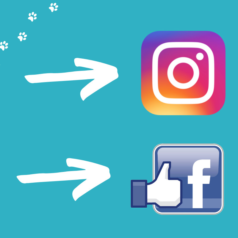 Retrouvez nous sur Instagram et Facebook