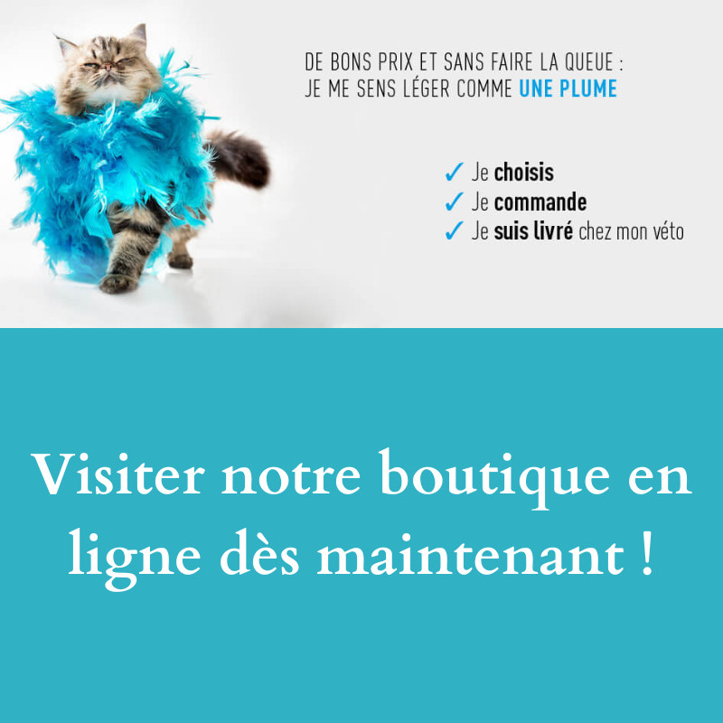 Kalivet: notre boutique en ligne !