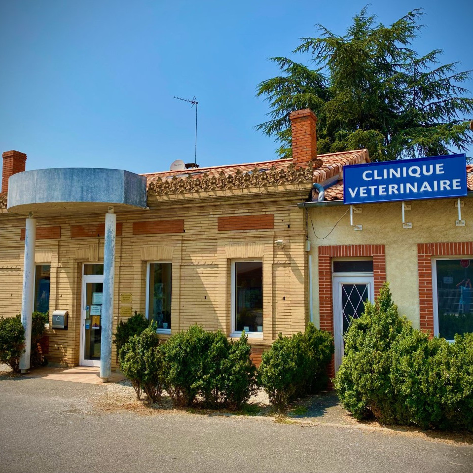 Bienvenue sur le site de la Clinique Vétérinaire des Açores !