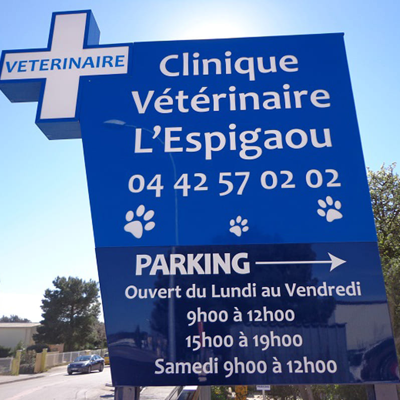 Toute l’équipe de la clinique vétérinaire vous souhaite la bienvenue !